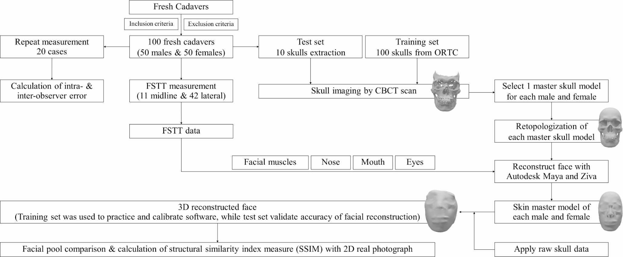 Utility of 3D facial reconstruction for forensic identification: a focus on facial soft tissue thickness and customized techniques