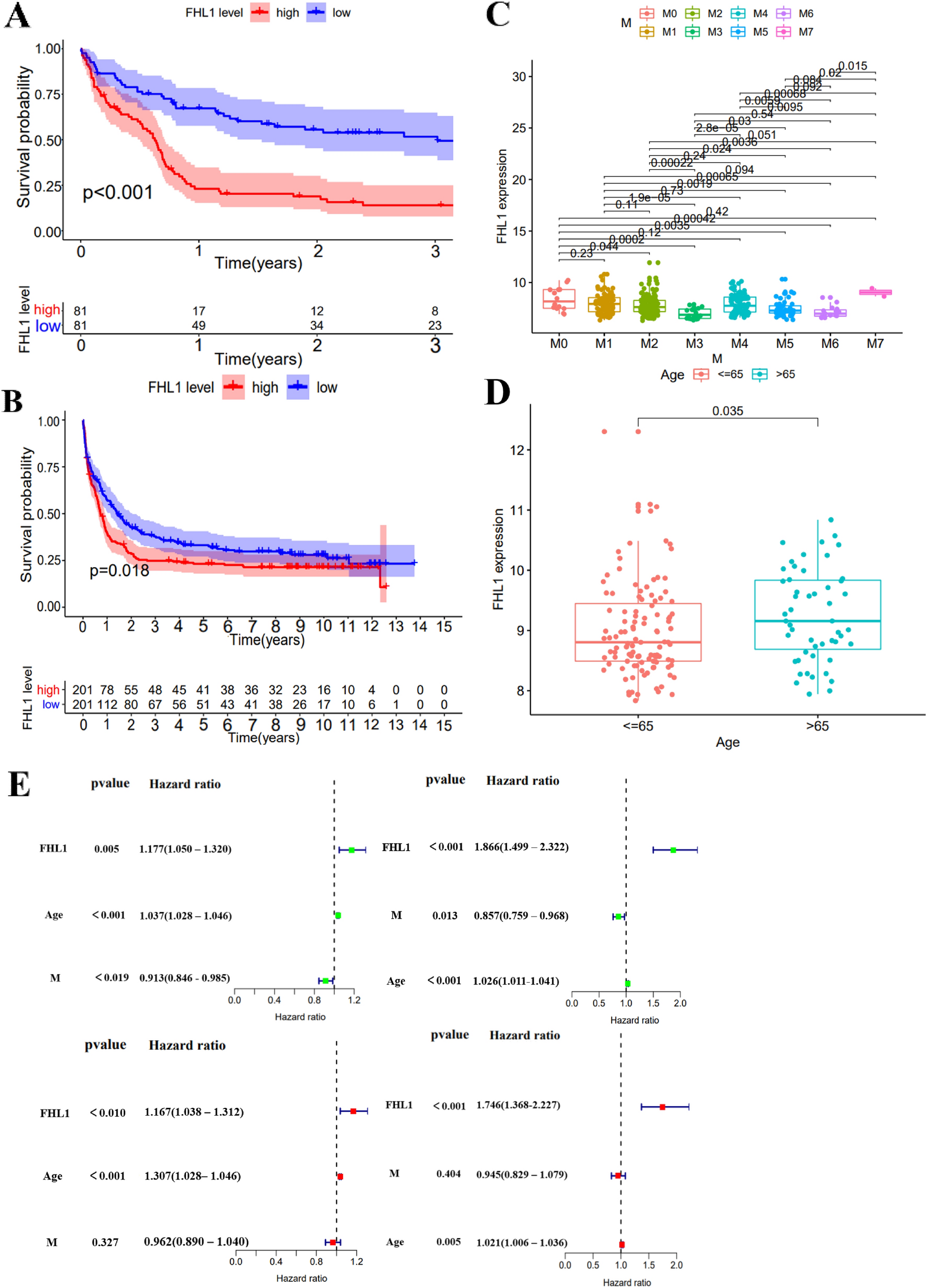 FHL1 as a prognostic biomarker and therapeutic target in acute promyelocytic leukaemia