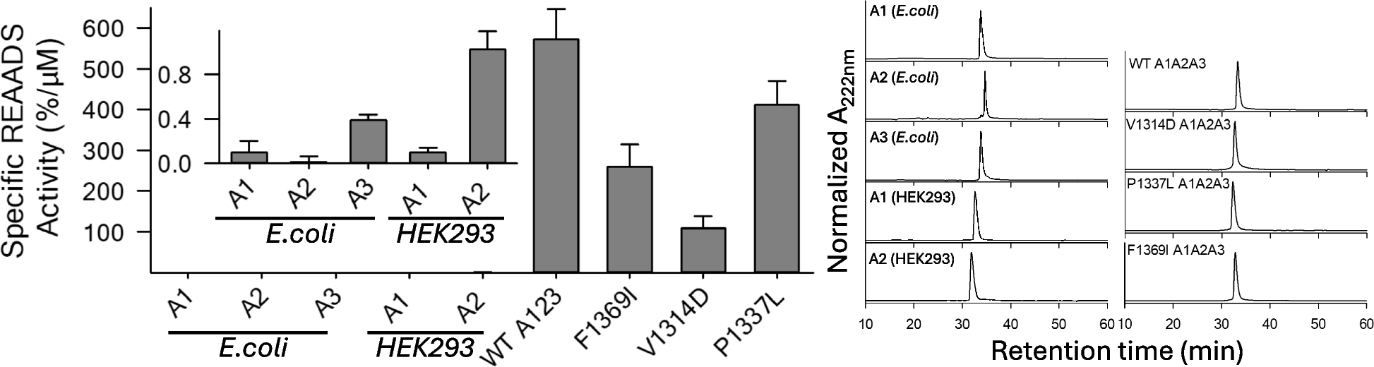 The epitope of the antibody used in the REAADS VWF activity assay is quaternary