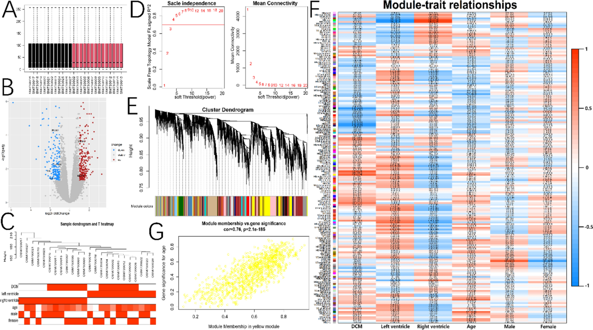 BMP6, a potential biomarker of inflammatory fibrosis and promising protective factor for dilated cardiomyopathy