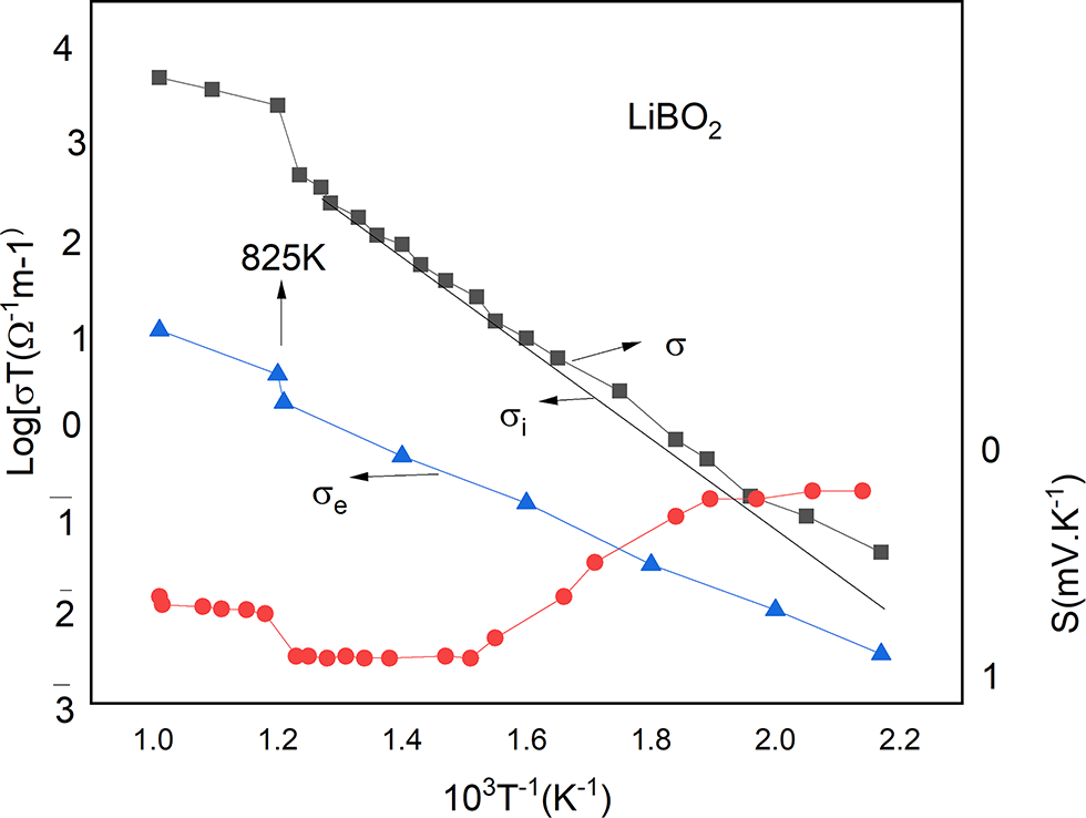 Charge And Mass Movement In Lithium Metaborate (LiBO2)