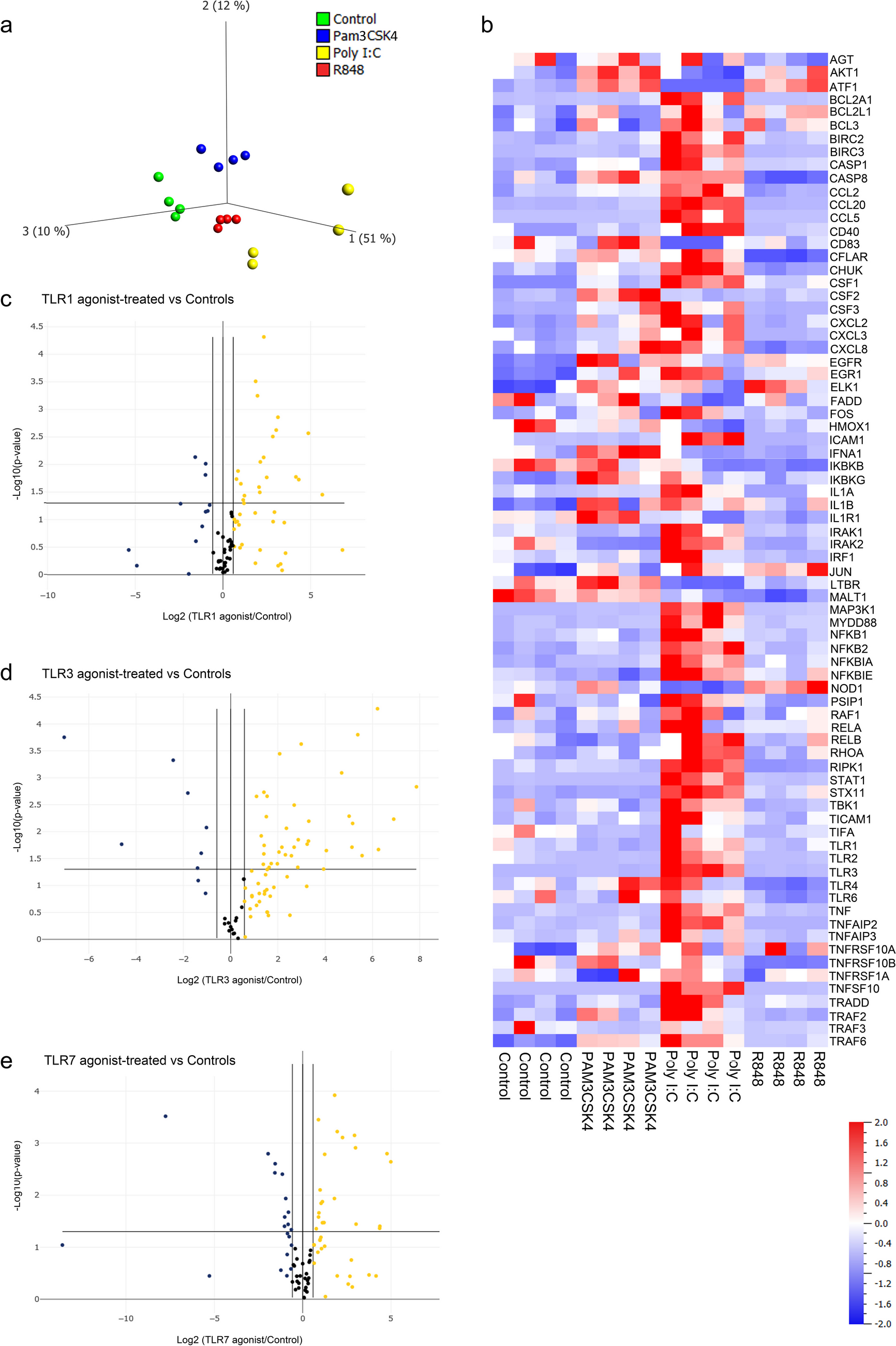 Toll-like Receptors 1, 3 and 7 Activate Distinct Genetic Features of NF-κB Signaling and γ-Protocadherin Expression in Human Cardiac Fibroblasts