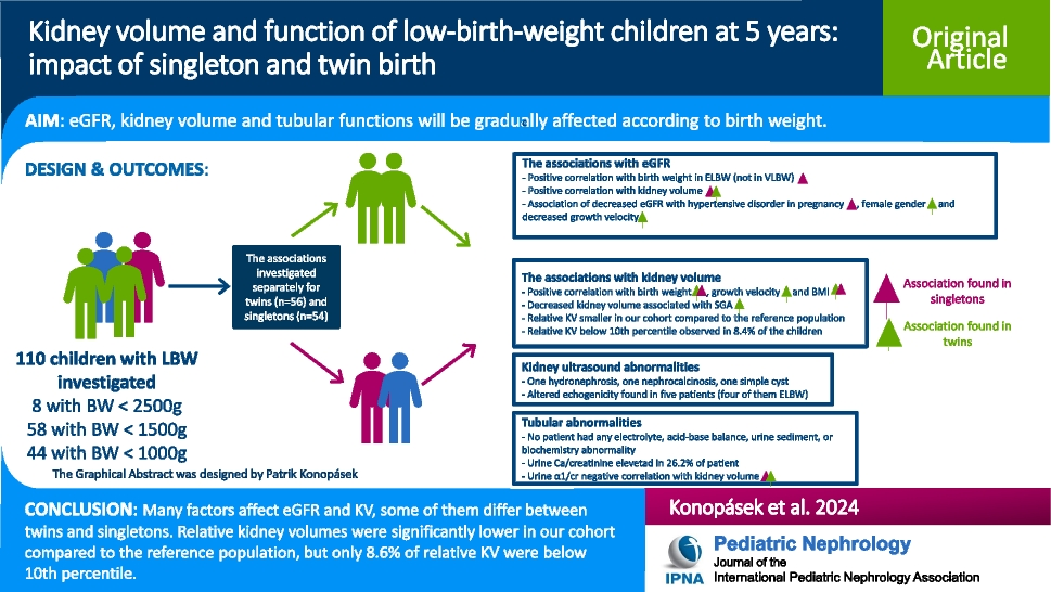 Kidney volume and function of low-birth-weight children at 5 years: impact of singleton and twin birth