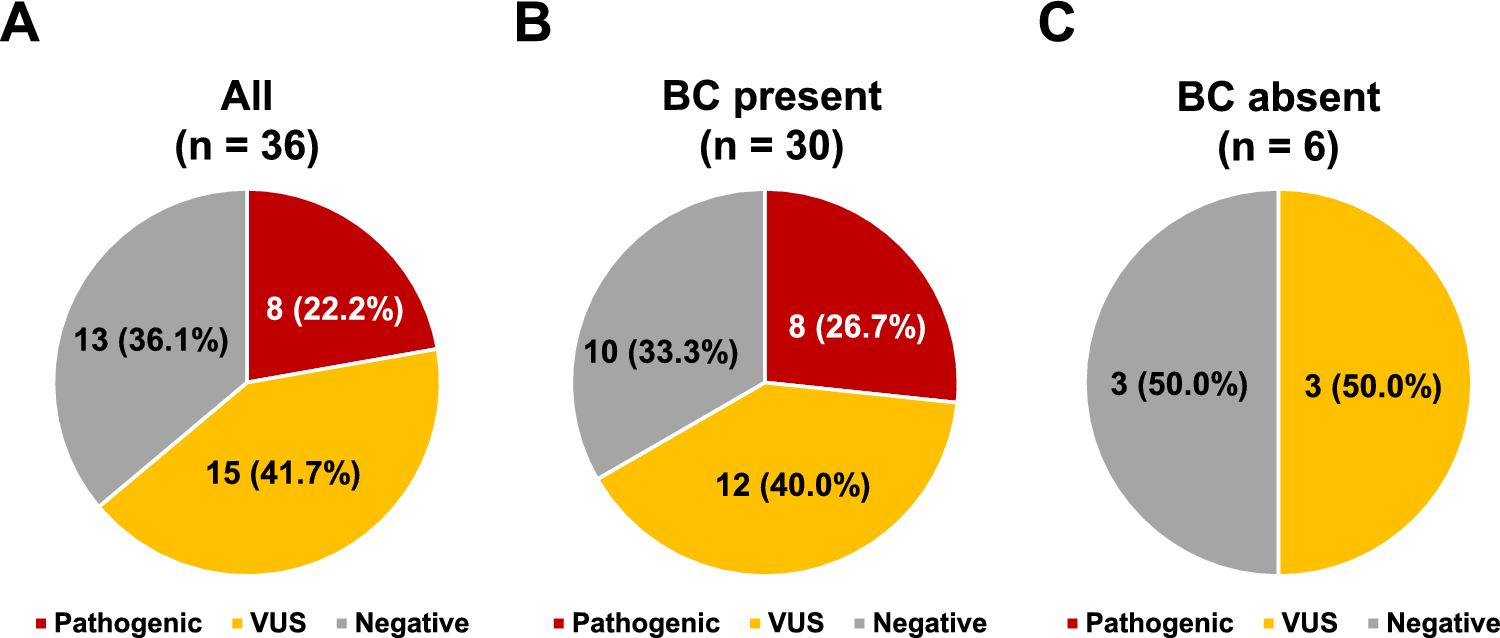 Germline variants detected by multigene panel testing in patients with suspected hereditary breast cancer