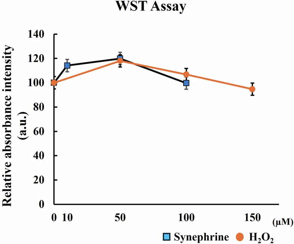 Synephrine Inhibits Oxidative Stress and H2O2-Induced Premature Senescence