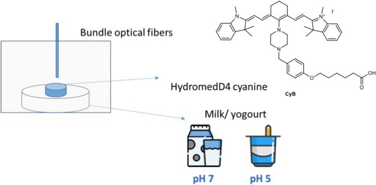 Cyanine dye-embedded fluorescent film for ratiometric pH measurement