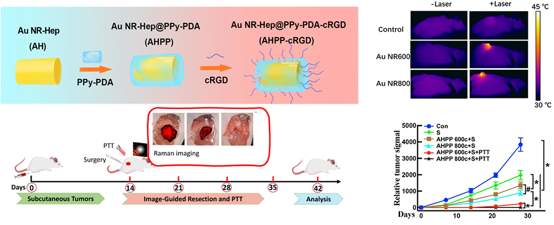 Ultrabright contrast agents with synergistic Raman enhancements for precise intraoperative imaging and photothermal ablation of orthotopic tumor models