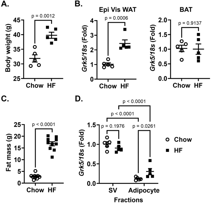 GRK5 is required for adipocyte differentiation through ERK activation