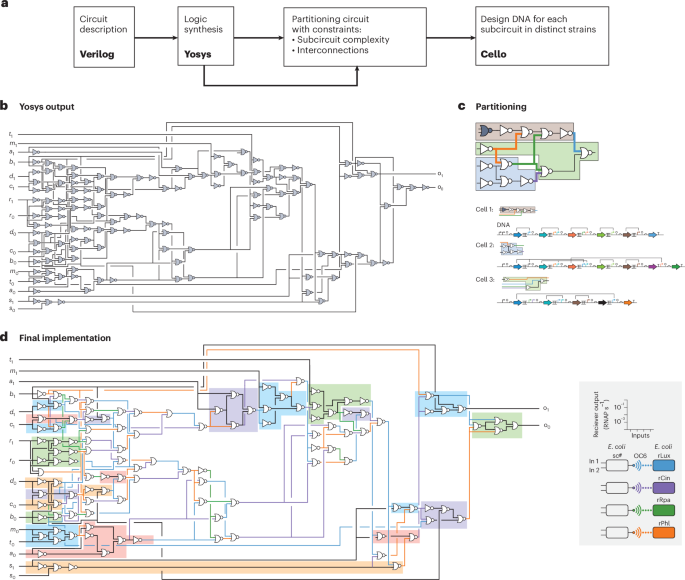 Hashing the message with cells