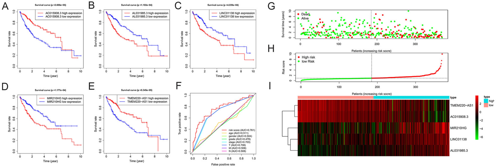 Autophagy-related long non-coding RNA MIR210HG plays a therapeutic role in hepatocellular carcinoma