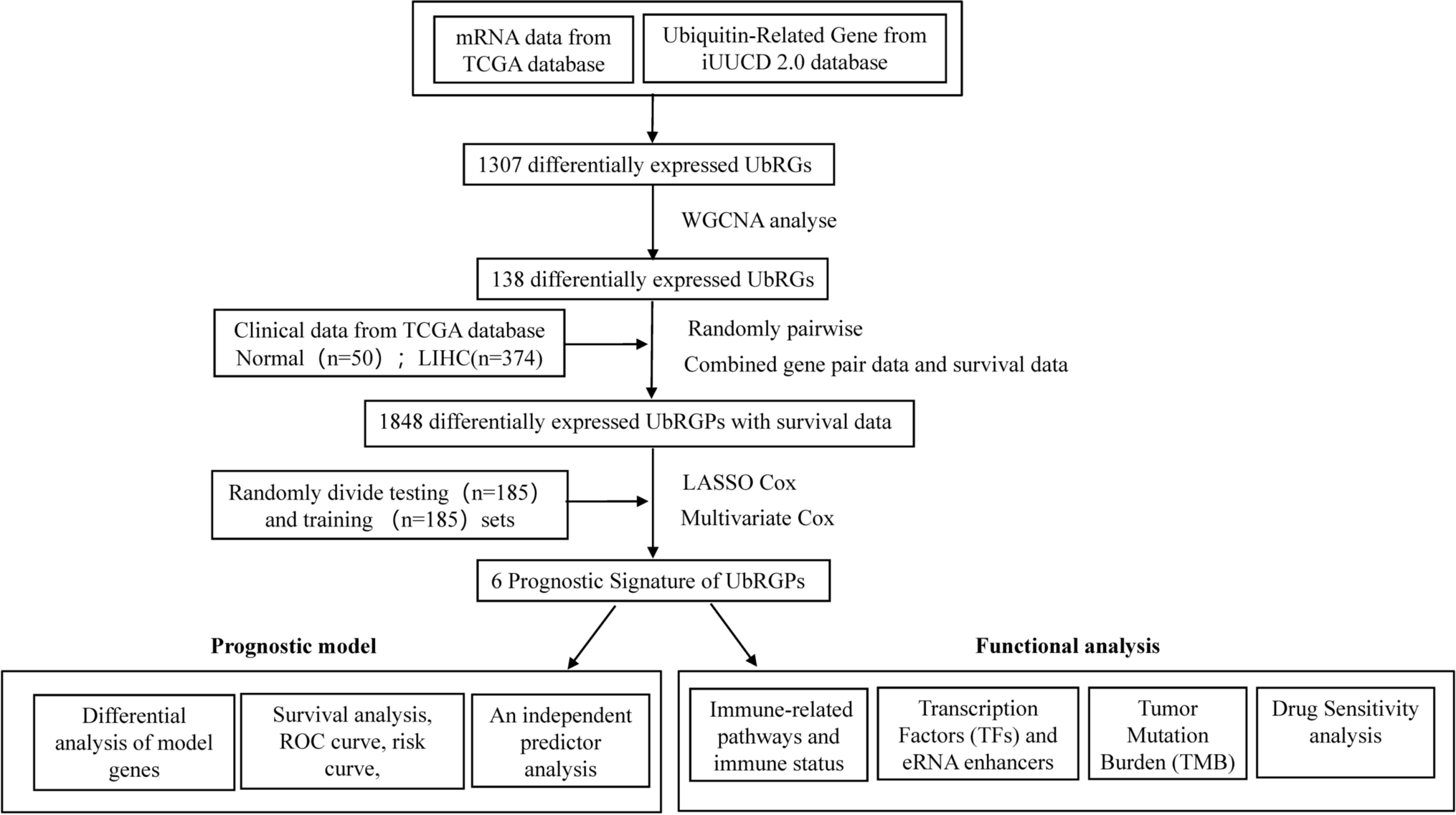 A novel ubiquitination-related gene signature for overall survival prediction in patients with liver hepatocellular carcinoma