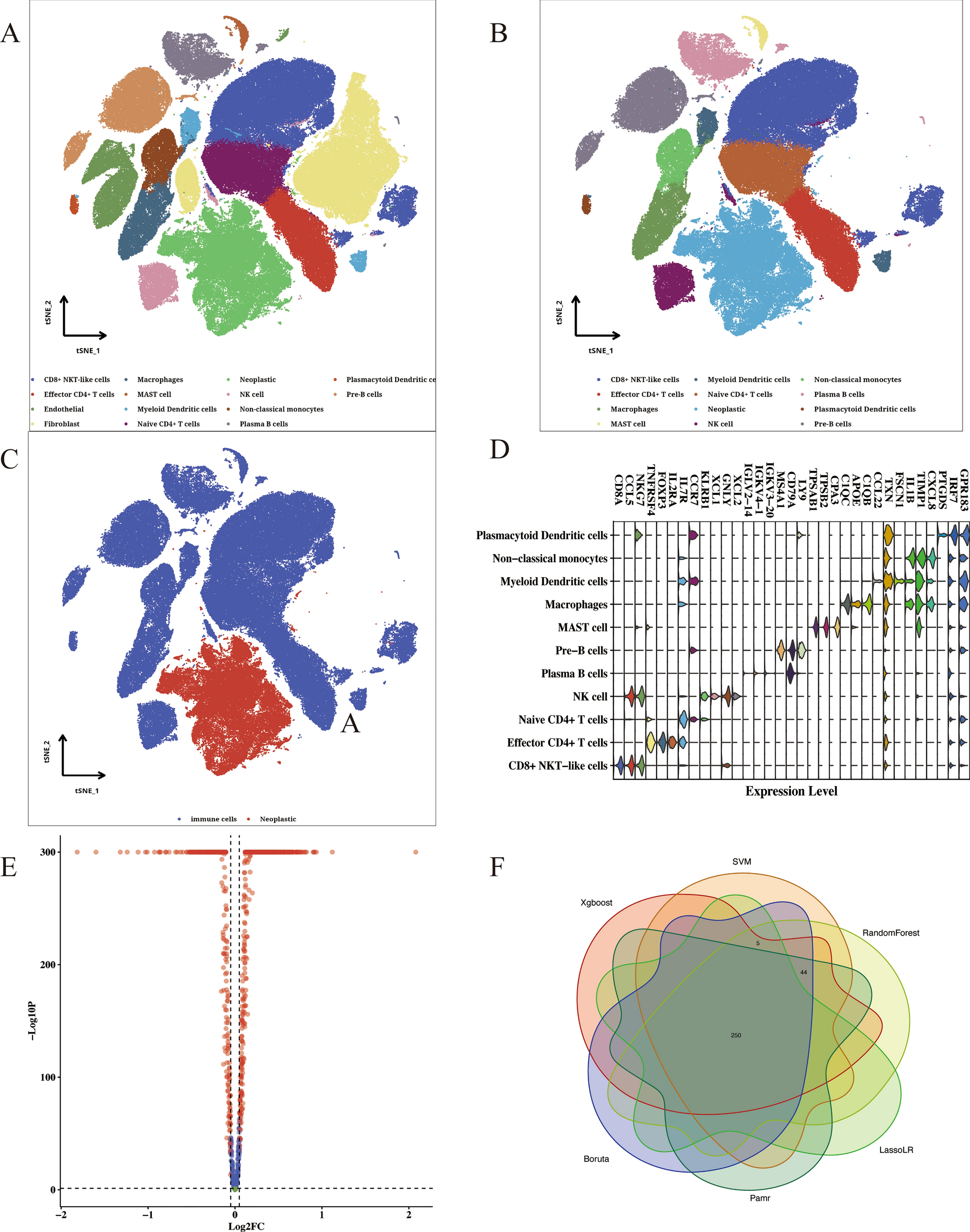 Revolutionizing ESCC prognosis: the efficiency of tumor-infiltrating immune cells (TIIC) signature score