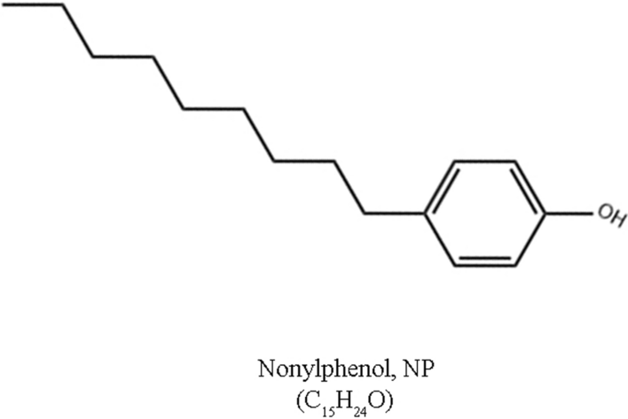 Nonylphenol promotes epithelial-mesenchymal transition in colorectal cancer cells by upregulating miR-151a-3p