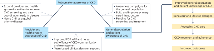 Approaches to raise awareness of CKD among patients and the general population