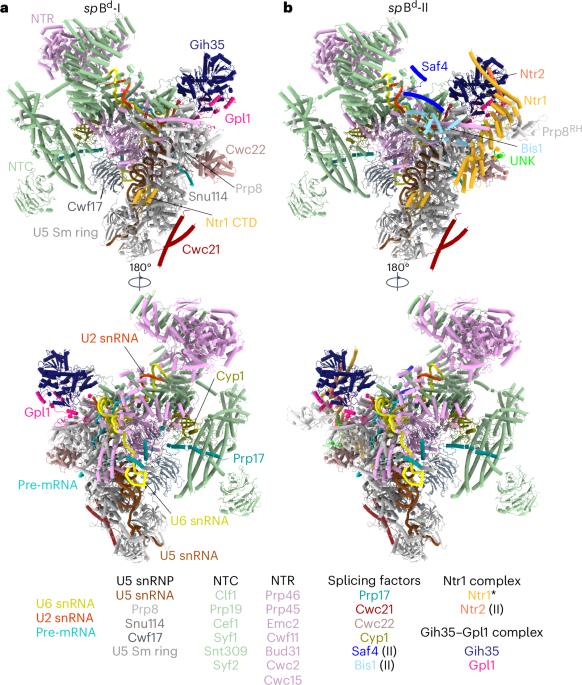 Structures of aberrant spliceosome intermediates on their way to disassembly