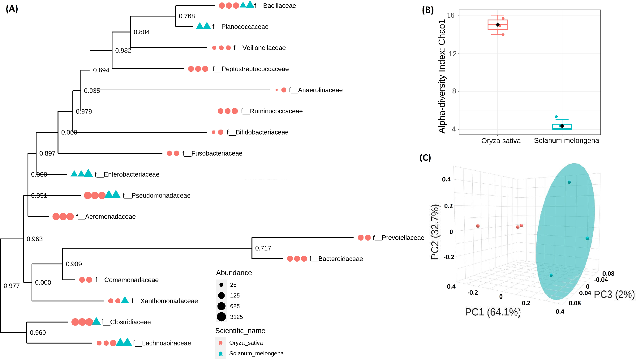 Comparison of the rhizospheric soil bacteriomes of Oryza sativa and Solanum melongena crop cultivars reveals key genes and pathways involved in biosynthesis of ectoine, lysine, and catechol meta-cleavage