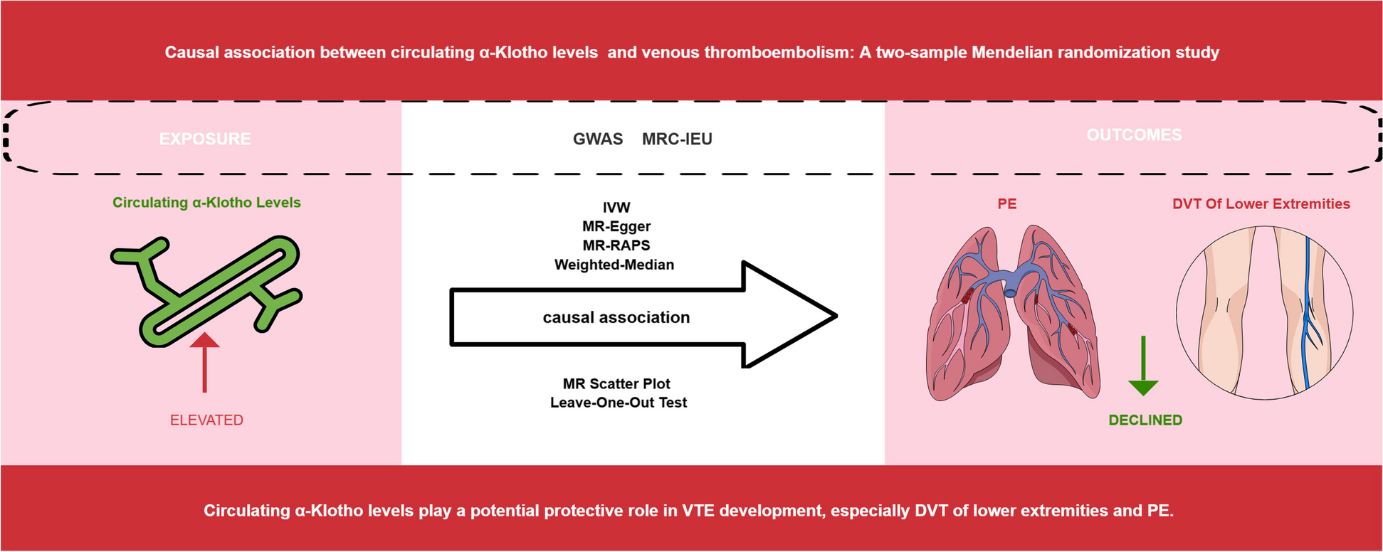 Causal association between circulating α-Klotho levels and venous thromboembolism: a two-sample Mendelian randomization study