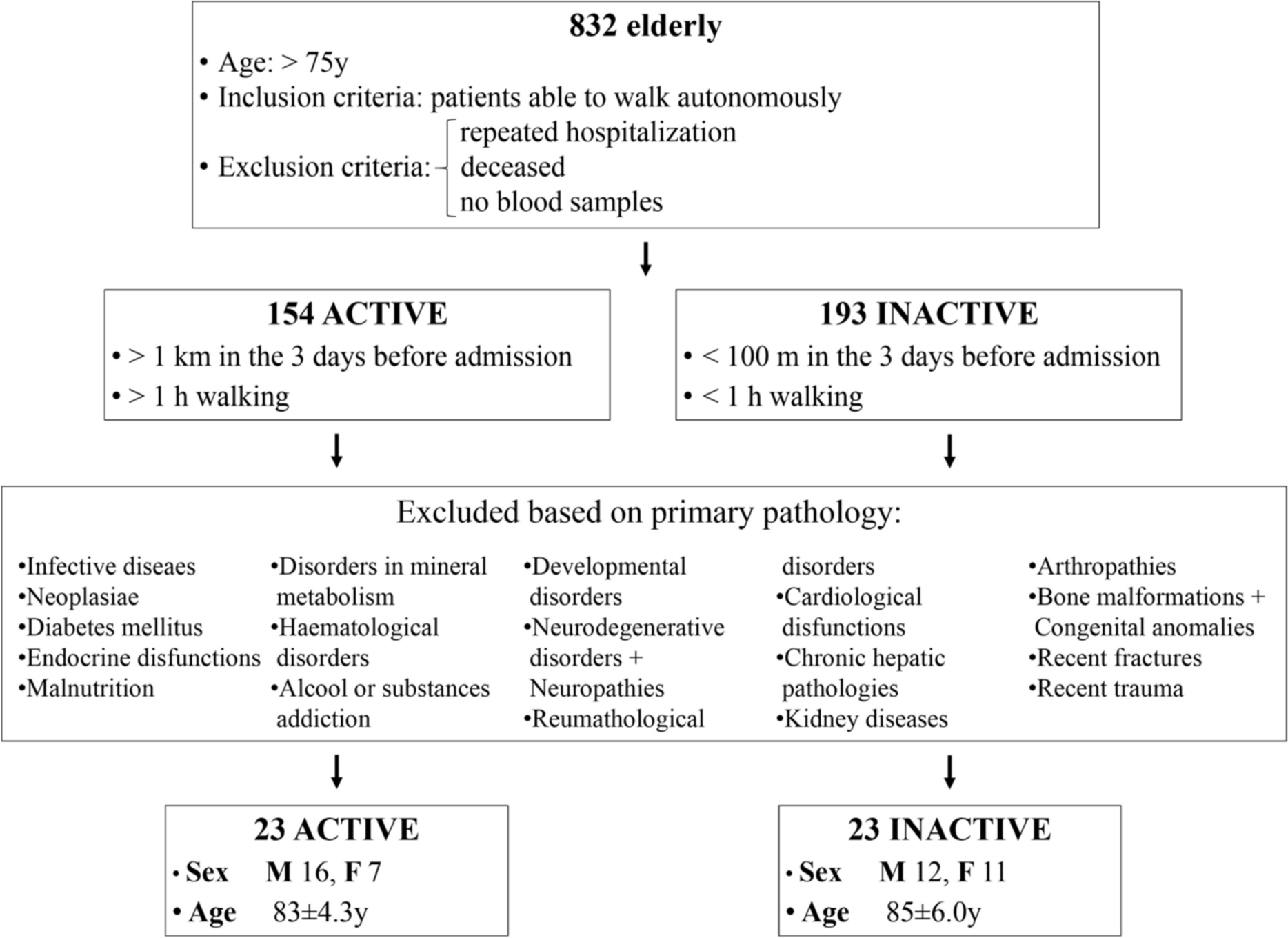 Circulating biomarkers associated with walking performance in elderly subjects: exploring miRNAs, metabolic and inflammatory biomarkers