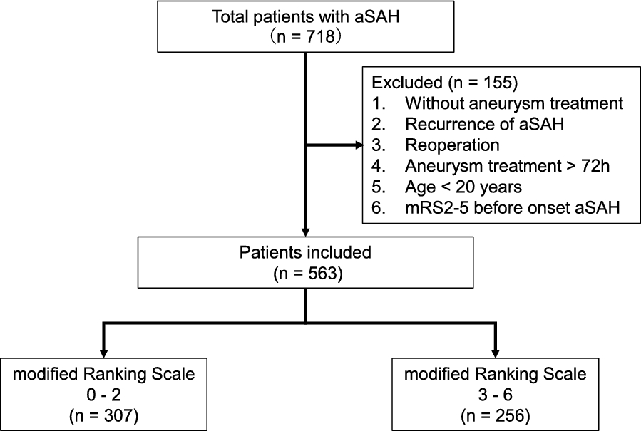 Interpretable machine learning model for outcome prediction in patients with aneurysmatic subarachnoid hemorrhage