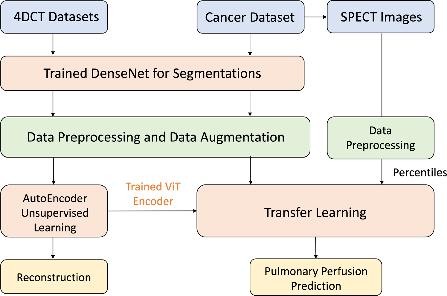 Perfusion estimation from dynamic non-contrast computed tomography using self-supervised learning and a physics-inspired U-net transformer architecture