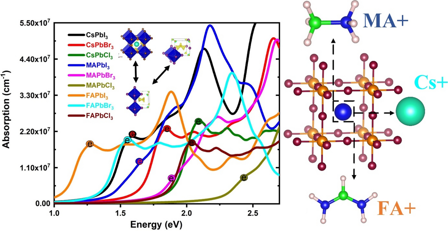 Structural, Electrical, and Optical Responses in Hybrid Perovskite Semiconductors: The Influence of Symmetry in Central Molecule Interactions