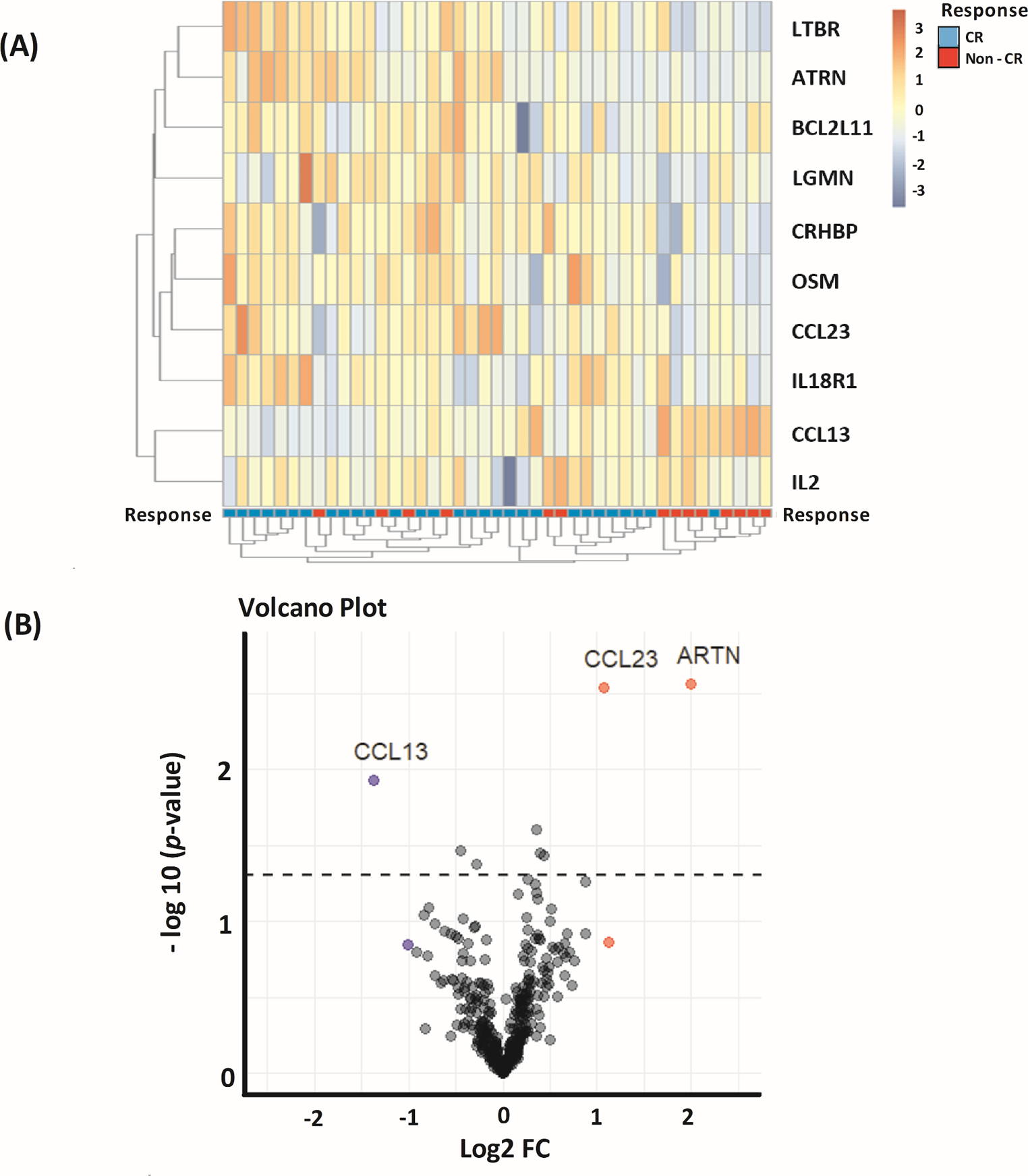 ARTN and CCL23 predicted chemosensitivity in acute myeloid leukemia: an Olink® proteomics approach