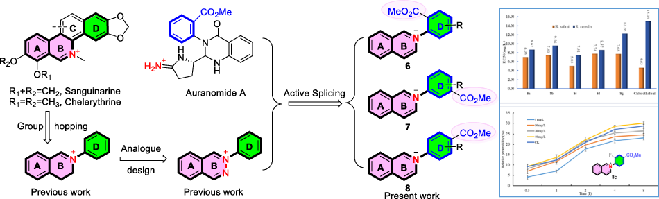 Design, synthesis and antifungal study of novel 2-aryl-3,4-dihydroisoquinolin-2-ium salts containing benzoate moieties