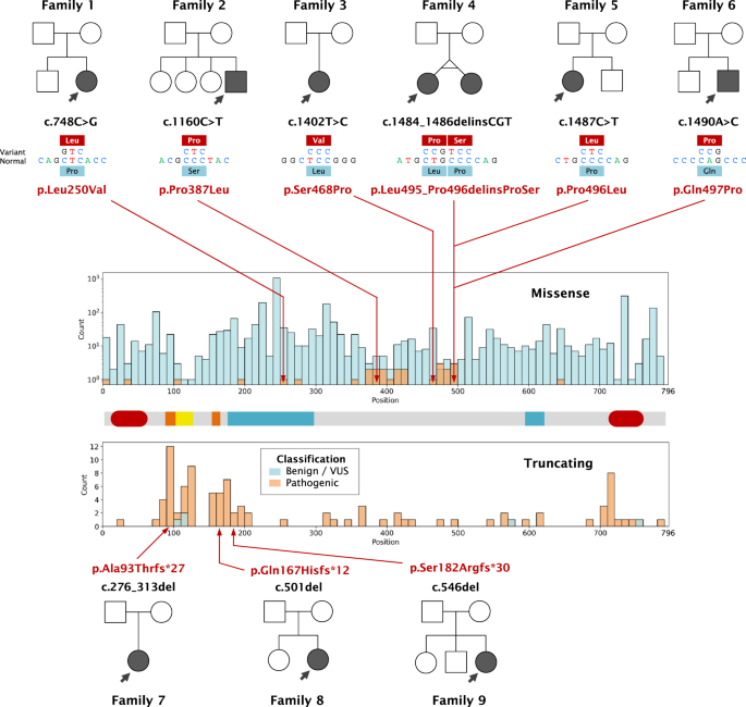 Clinical and genetic spectrum of patients with IRF2BPL syndrome