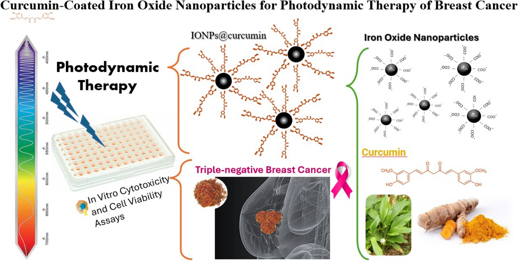 Curcumin-coated iron oxide nanoparticles for photodynamic therapy of breast cancer