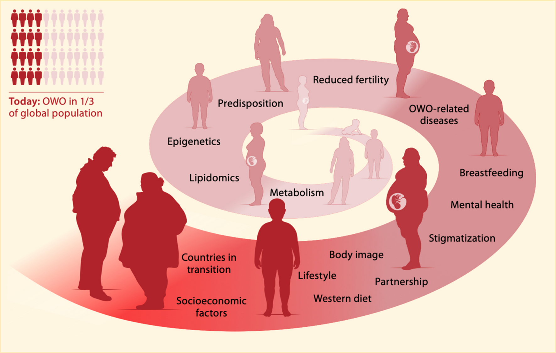 Maternal lipids in overweight and obesity: implications for pregnancy outcomes and offspring’s body composition