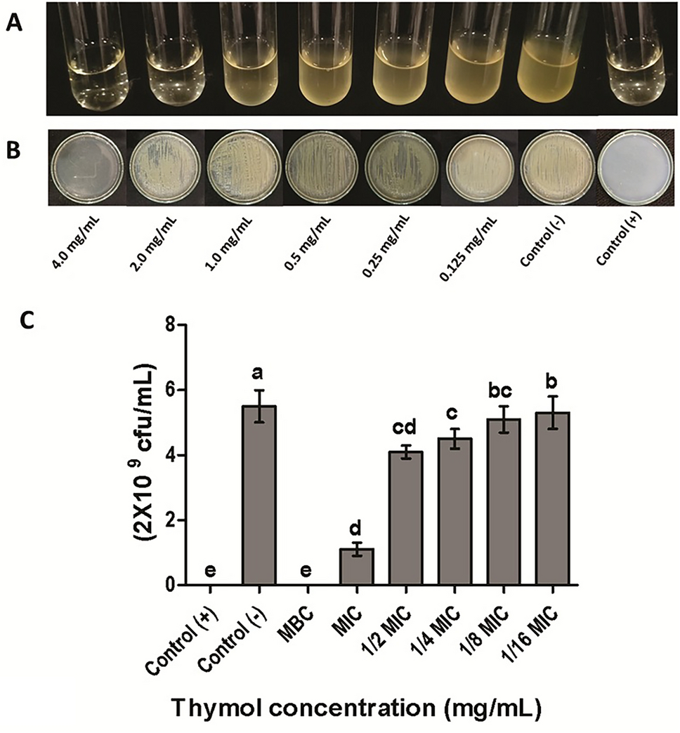 Thymol as a Novel Plant-Derived Antibacterial Agent for Suppressing Xanthomonas citri pv. malvacearum in Cotton