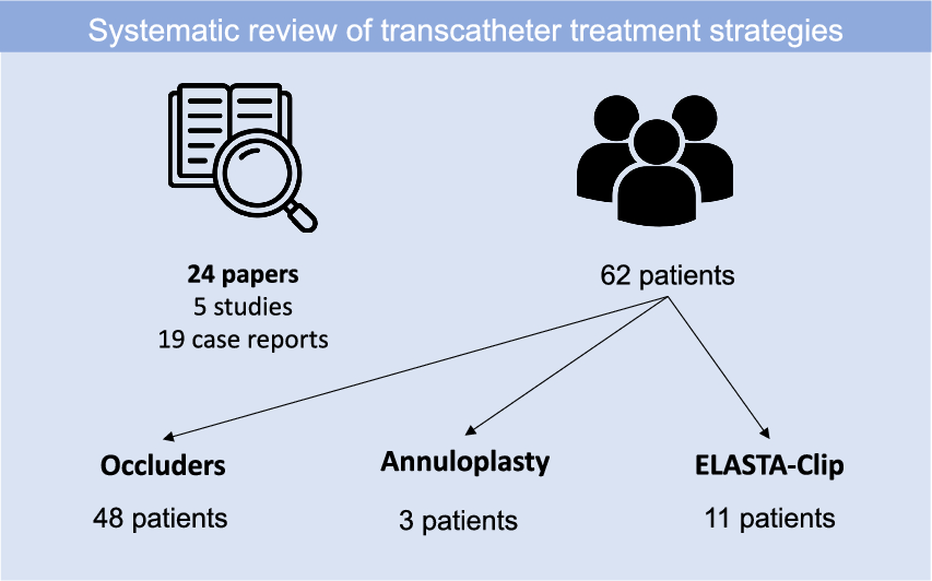 Transcatheter management of residual mitral regurgitation after transcatheter edge-to-edge repair: a systematic review