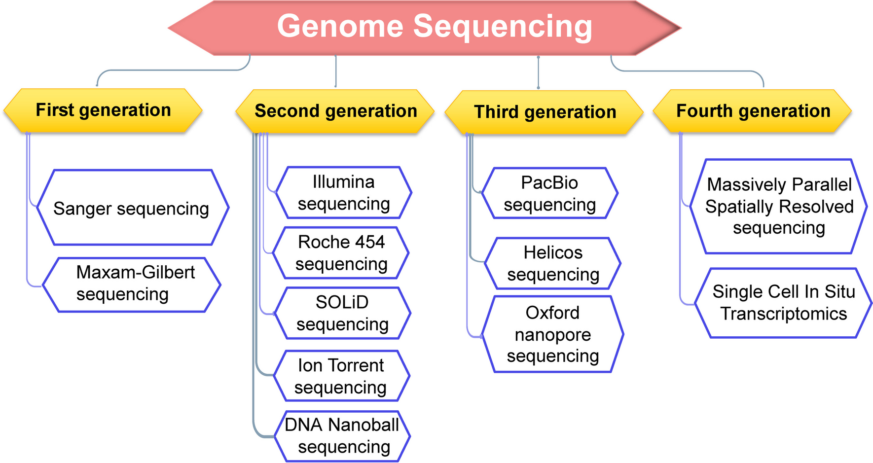 High-throughput sequencing: a breakthrough in molecular diagnosis for precision medicine