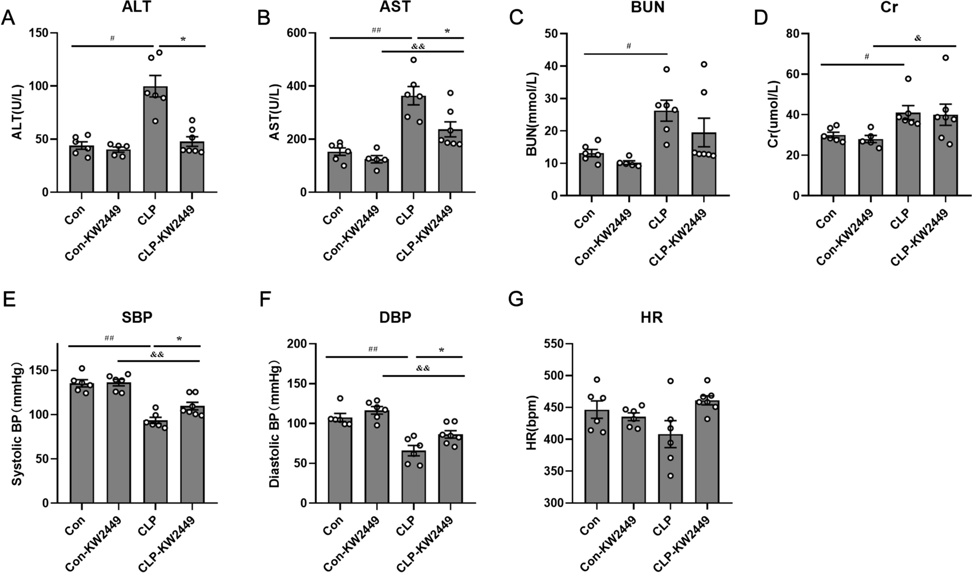 KW-2449 Ameliorates Cardiac Dysfunction in a Rat Model of Sepsis-Induced Cardiomyopathy