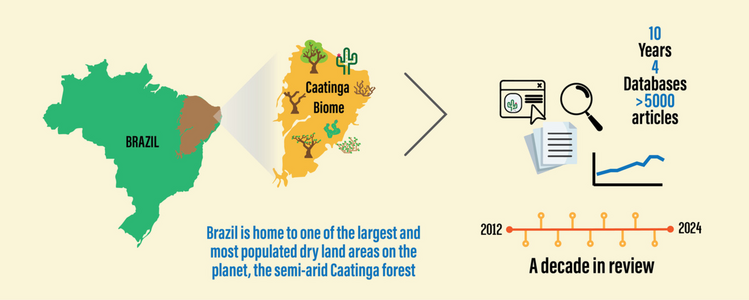 Reflections and Perspectives on the Caatinga Drylands for the Development of Bioactive Plant Products as Medicine