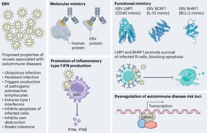 NIAID workshop on infections and autoimmune diseases