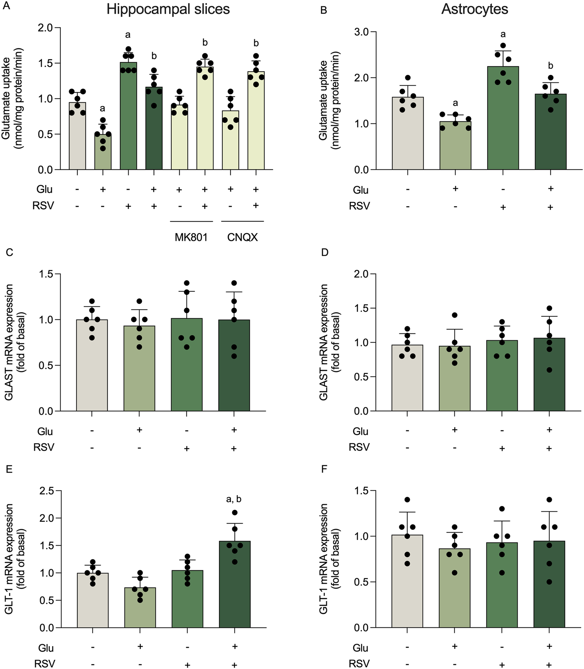 Glioprotective Effects of Resveratrol Against Glutamate-Induced Cellular Dysfunction: The Role of Heme Oxygenase 1 Pathway