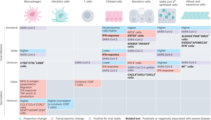 Variant-specific local tissue response to SARS-CoV-2 in the nasal mucosa