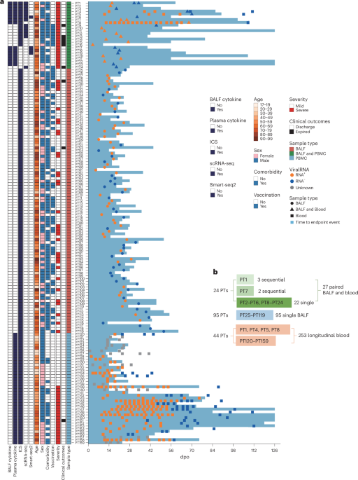 Robust mucosal SARS-CoV-2-specific T cells effectively combat COVID-19 and establish polyfunctional resident memory in patient lungs