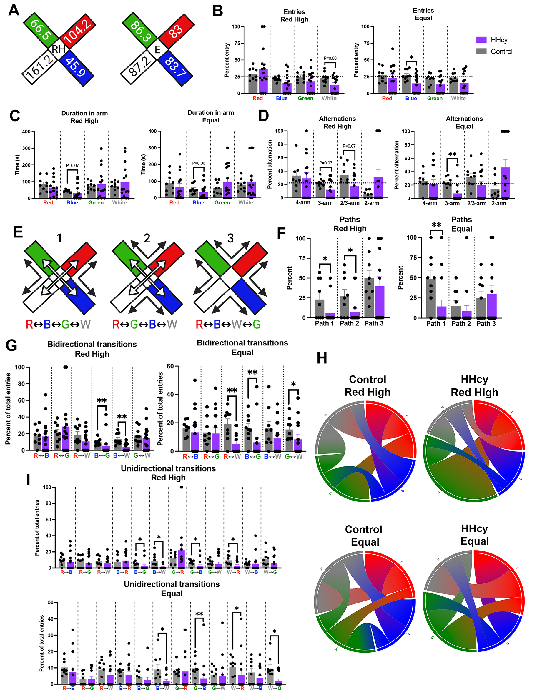 Hyperhomocysteinemia-induced VCID results in visual deficits, reduced neuroinflammation and vascular alterations in the retina