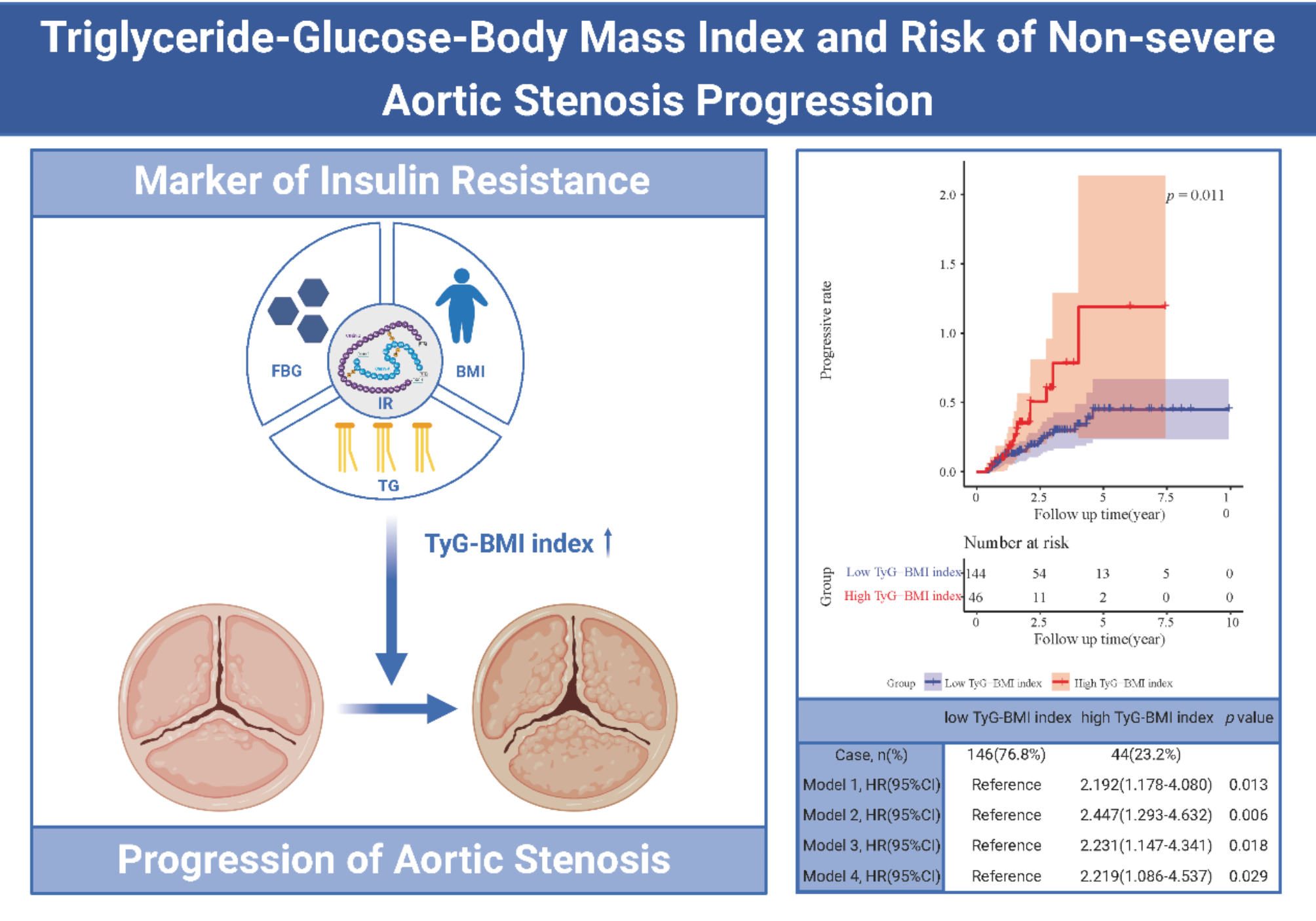 Association between triglyceride-glucose-body mass index and risk of aortic stenosis progression in patients with non-severe aortic stenosis: a retrospective cohort study