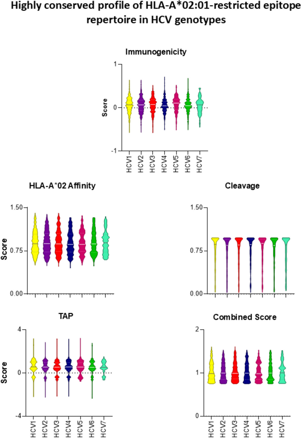 HCV immunodominant peptide mapping reveals unique HLA-A*02-restricted signatures: insights for CD8+ T-cell-based vaccines and immunotherapies