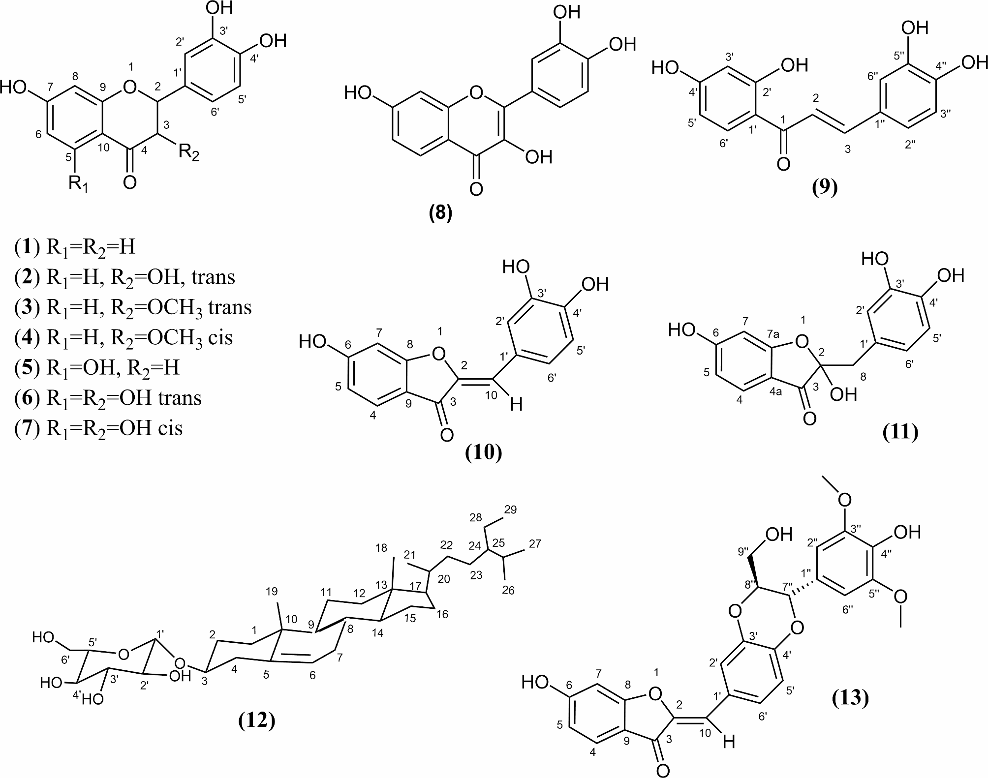 Exploring the anticancer potential of extracts and compounds from the heartwood of Cotinus coggygria Scop. wild growing in Serbia