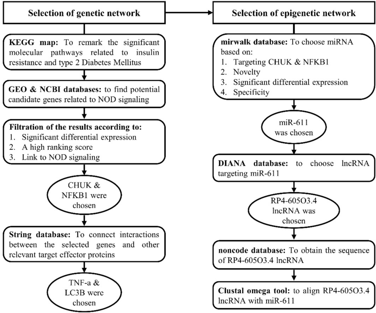 ZBiotics ameliorates T2DM-induced histopathological damage in liver, kidney and adipose tissues by modulating the NOD-like receptor signaling in Wistar rats