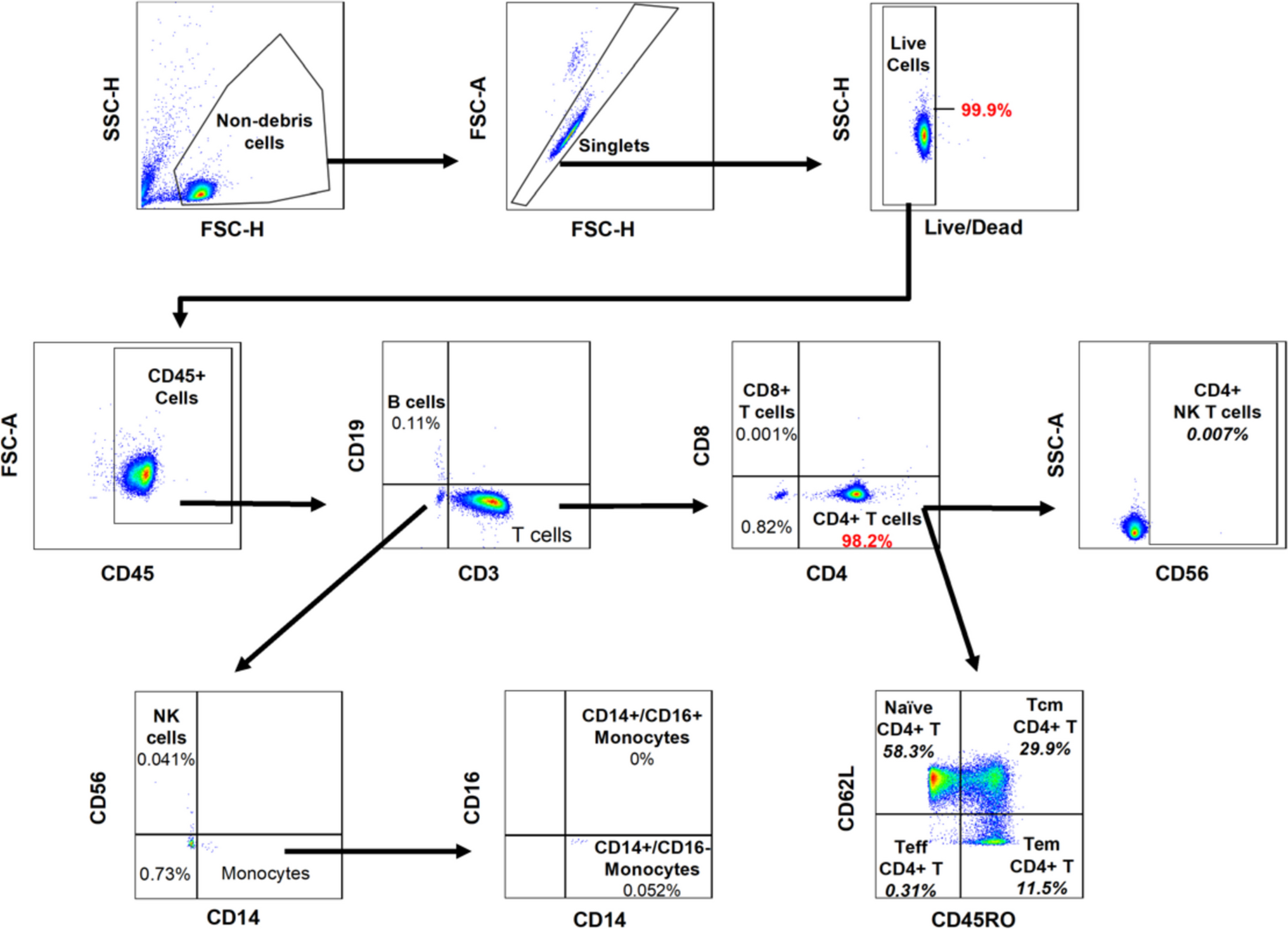 Full-length mRNA sequencing resolves novel variation in 5′ UTR length for genes expressed during human CD4 T-cell activation