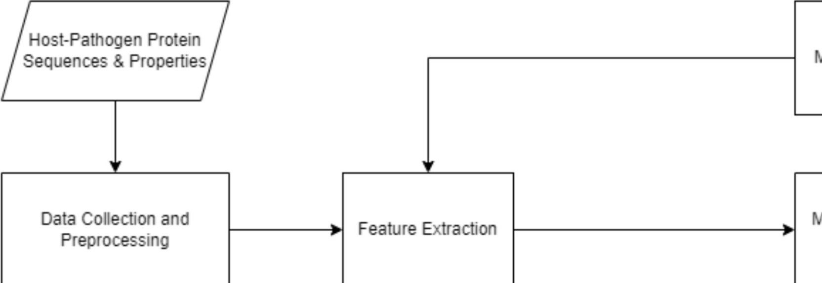 Machine Learning-based Host–Pathogen Protein–Protein Interaction Prediction