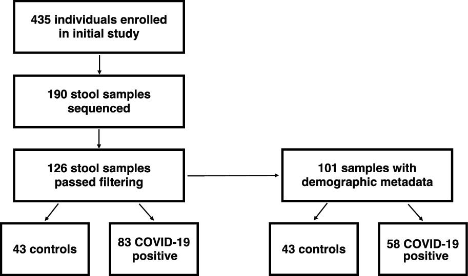 Enterococcus and Eggerthella species are enriched in the gut microbiomes of COVID-19 cases in Uganda