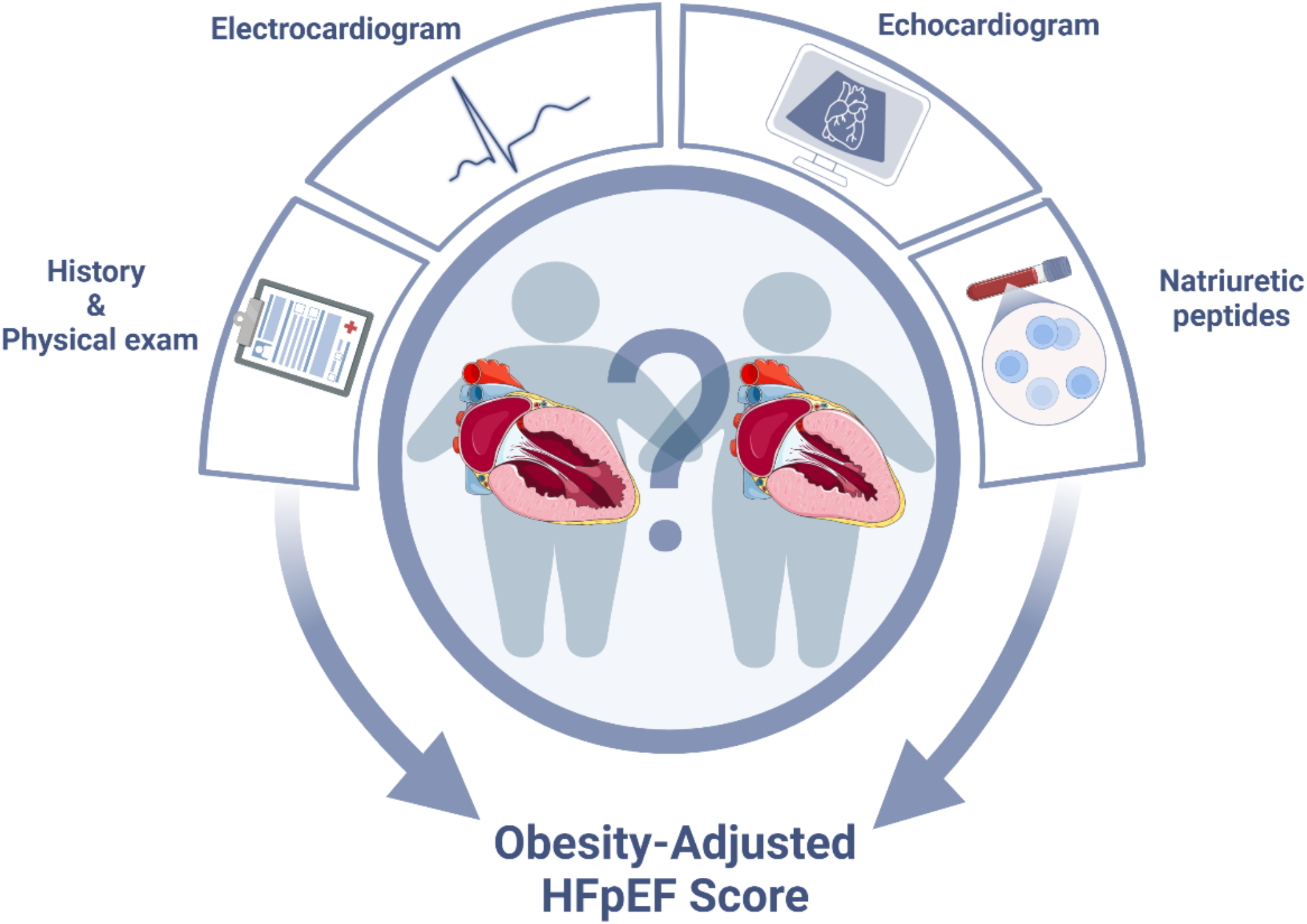 Challenges in the diagnosis of heart failure with preserved ejection fraction in individuals with obesity