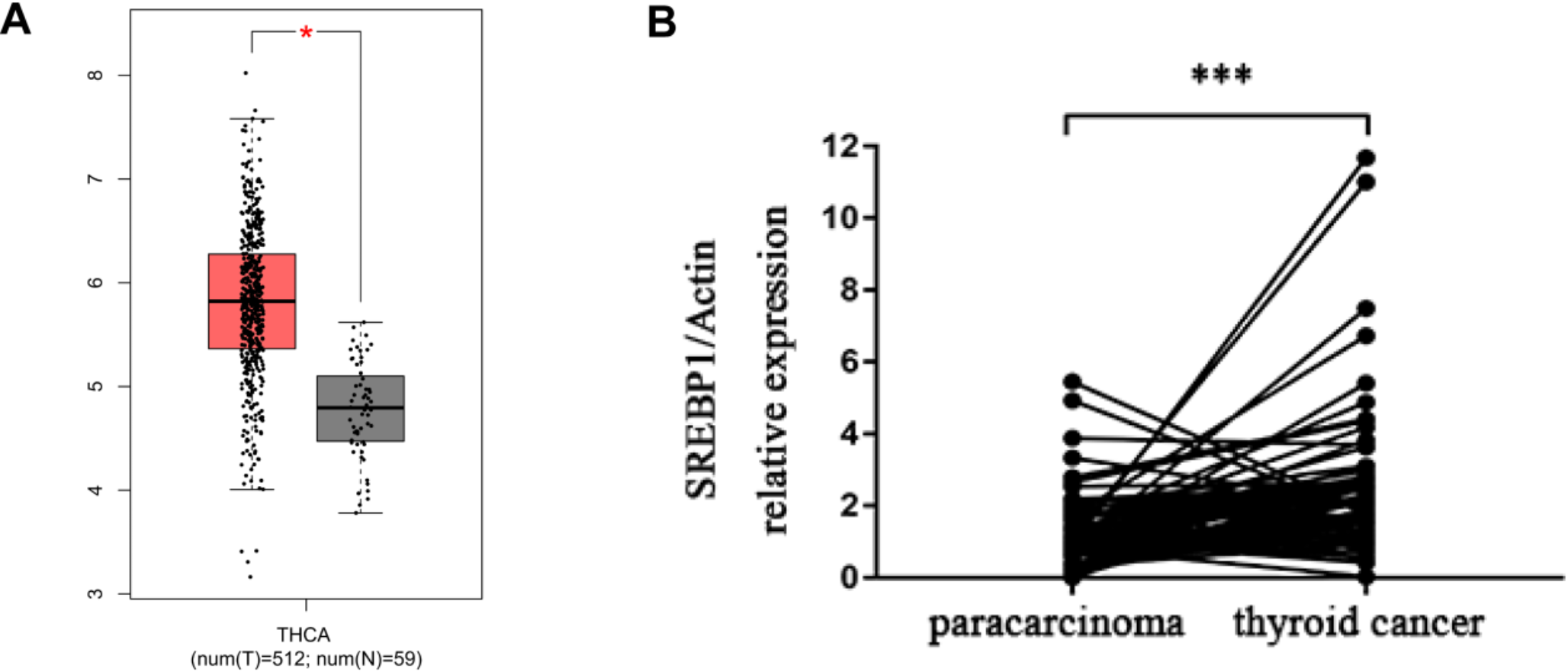 MiR-27a-5p inhibits malignant progression of differentiated thyroid cancer by directly affecting the miR-27a-5p/SREBP1 axis