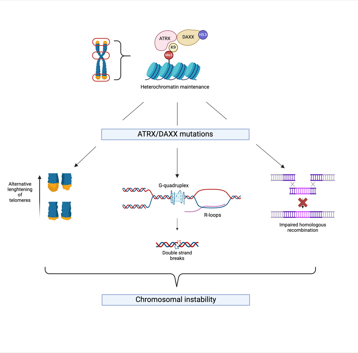 Clinical Relevance of ATRX/DAXX Gene Mutations and ALT in Functioning Pancreatic Neuroendocrine Tumors